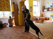 Bezpečný pes - kynologie